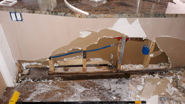 Best Mold removal after water damage  in Crosby, ND