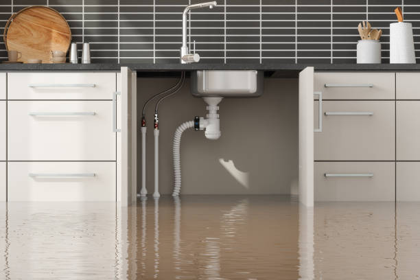 Best Emergency water damage restoration  in Crosby, ND
