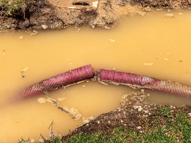 Best Flooded house restoration  in Crosby, ND